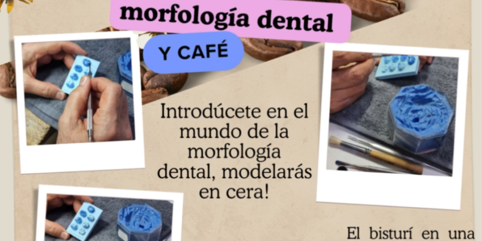 taller morfologia dental y cafe 2